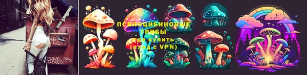 гидра Инта