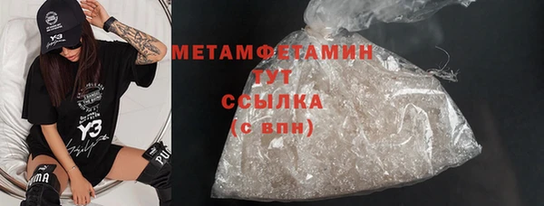 гидра Инта
