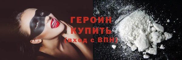 гидра Инта