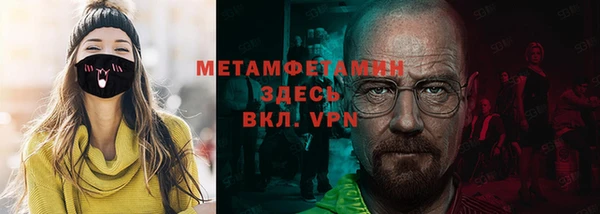 гидра Инта