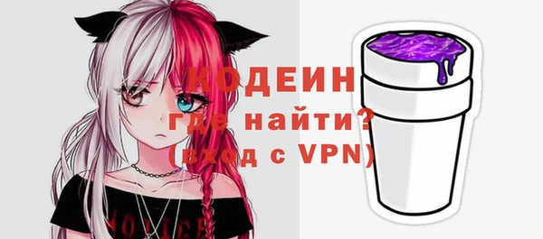 гидра Инта