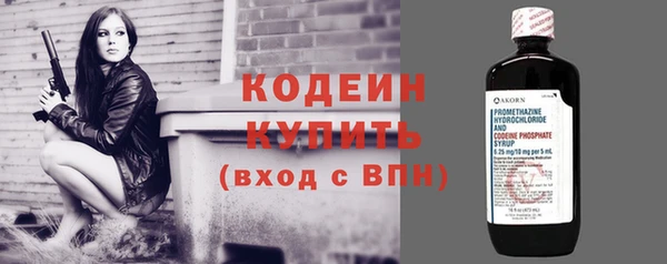 гидра Инта