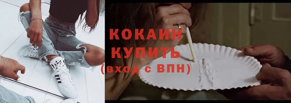 гидра Инта