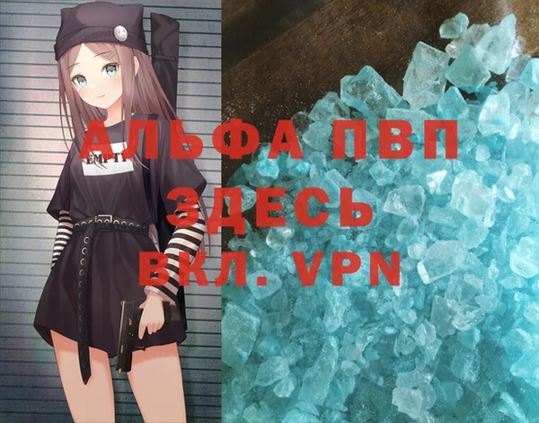 гидра Инта