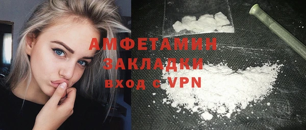 гидра Инта