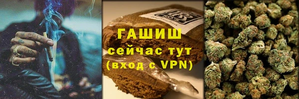 гидра Инта