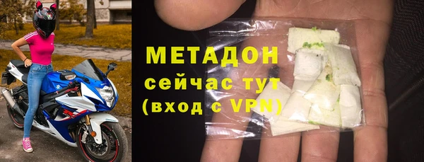 гидра Инта