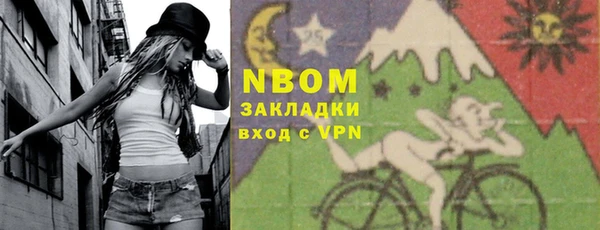 гидра Инта